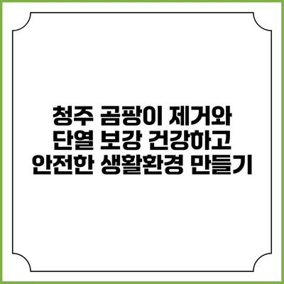 청주 곰팡이 제거와 단열 보강: 건강하고 안전한 생활환경 만들기